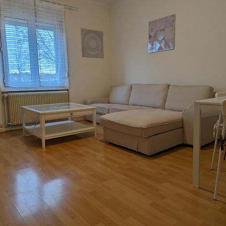 Le Balois - Appartement 2 Chambres, Salon, Cuisine Equipee, Parking Et Wifi Gratuit Mulhouse Eksteriør bilde