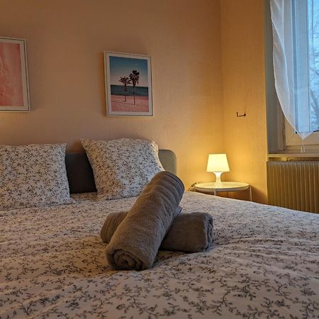 Le Balois - Appartement 2 Chambres, Salon, Cuisine Equipee, Parking Et Wifi Gratuit Mulhouse Eksteriør bilde