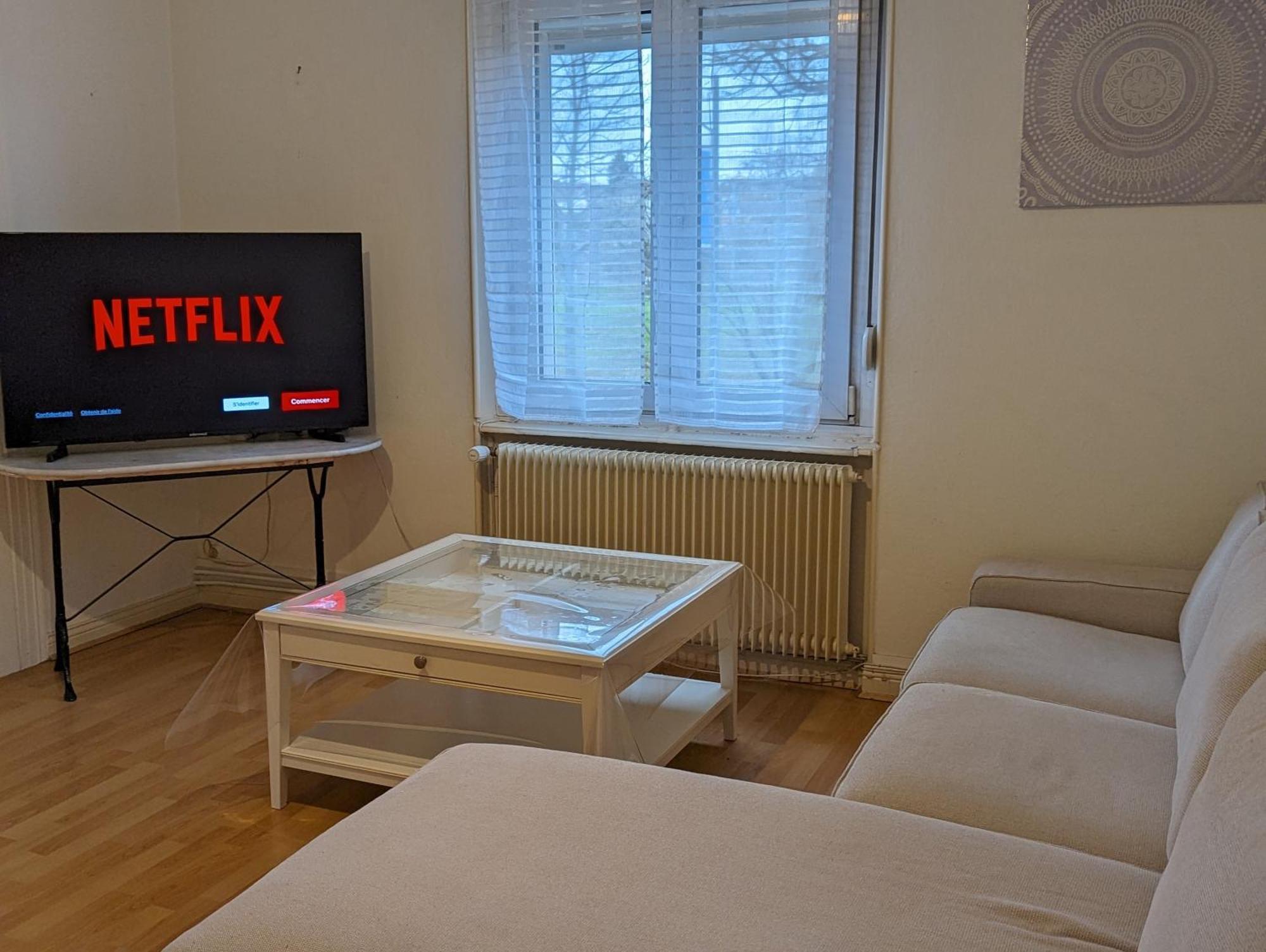 Le Balois - Appartement 2 Chambres, Salon, Cuisine Equipee, Parking Et Wifi Gratuit Mulhouse Eksteriør bilde