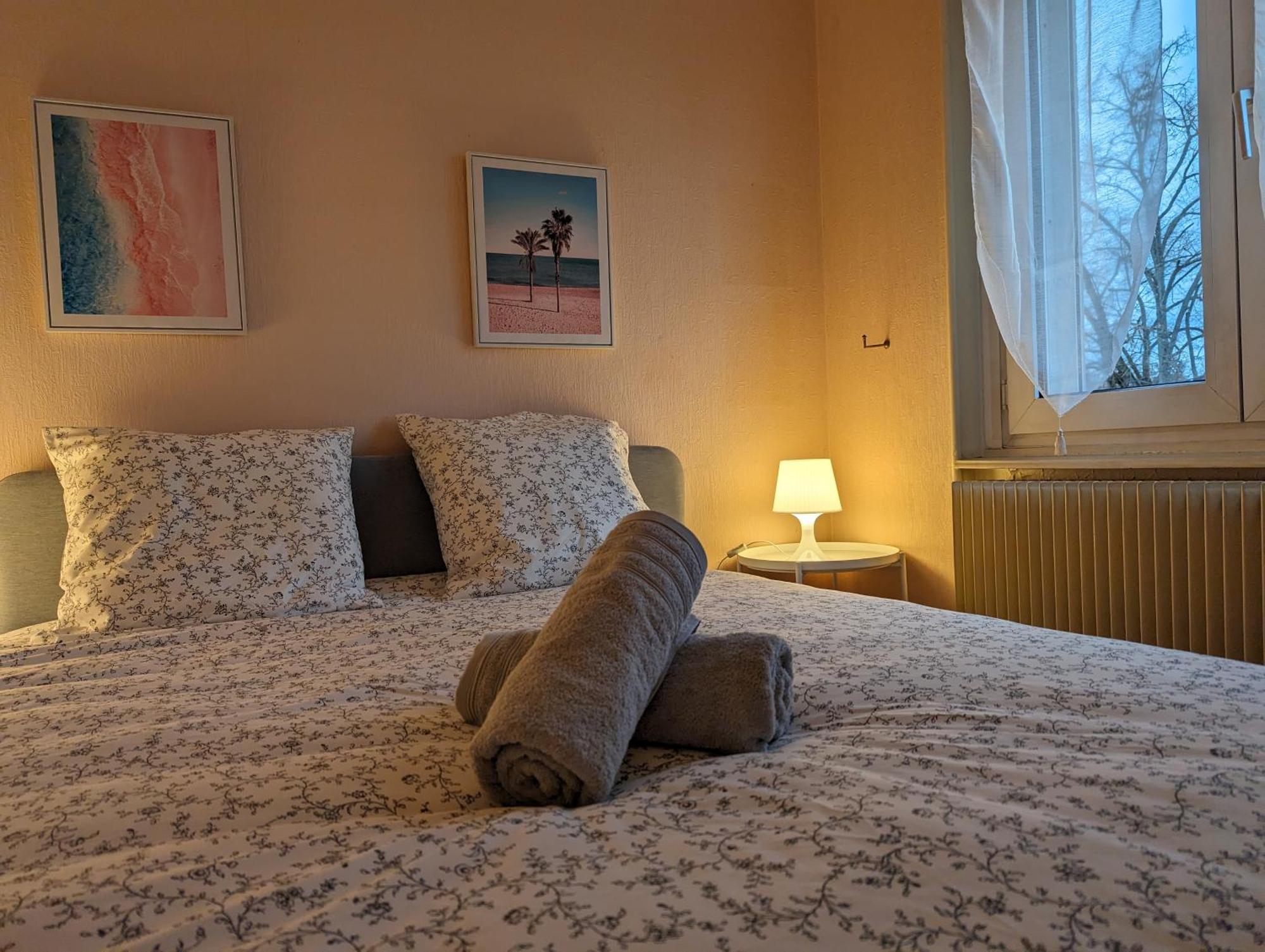 Le Balois - Appartement 2 Chambres, Salon, Cuisine Equipee, Parking Et Wifi Gratuit Mulhouse Eksteriør bilde